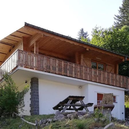Chalet des Bruyères La Bresse Extérieur photo