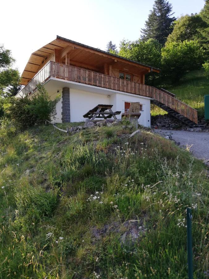 Chalet des Bruyères La Bresse Extérieur photo