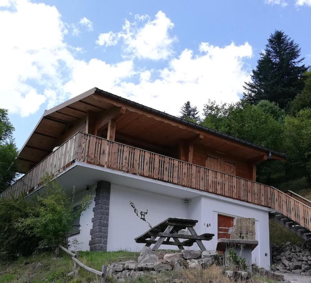 Chalet des Bruyères La Bresse Extérieur photo